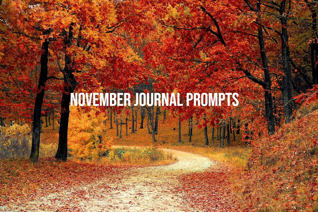 November Journal Prompts